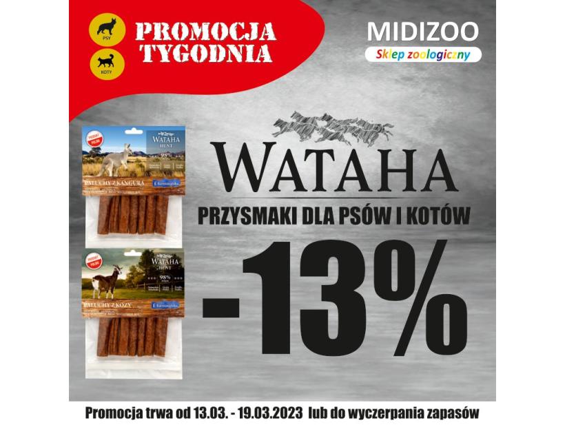 tydzien-11-1200-1200.jpg