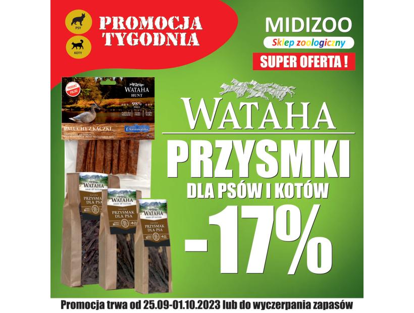 tydzien-39-1200-1200_230925.jpg