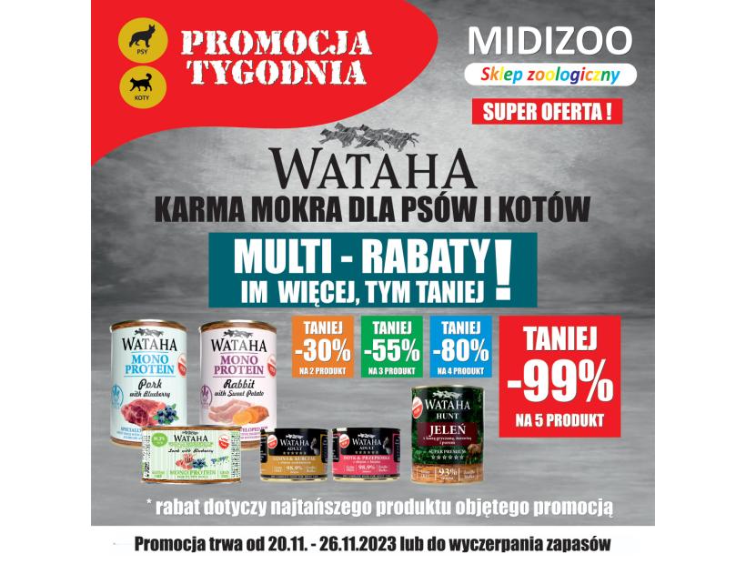 tydzien-47-1200-1200.jpg